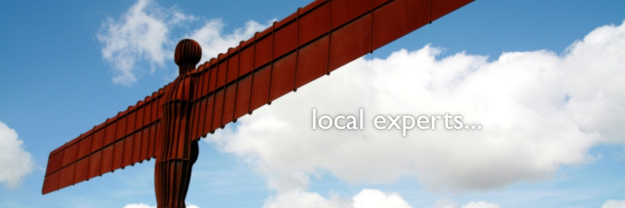 Local Experts